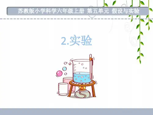 苏教版科学六年级上册实验