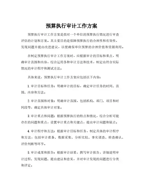 预算执行审计工作方案