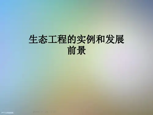 生态工程的实例和发展前景