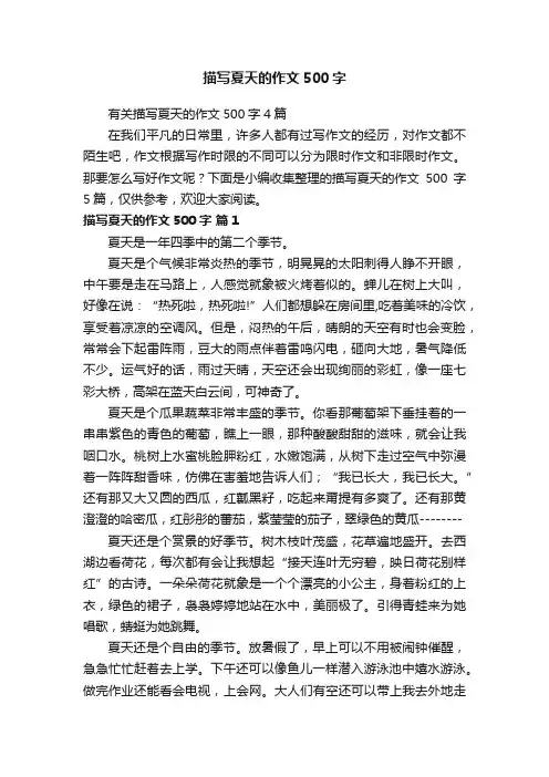 描写夏天的作文500字
