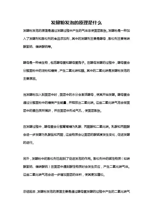 发酵粉发泡的原理是什么