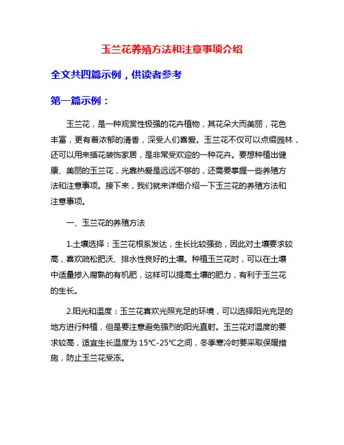 玉兰花养殖方法和注意事项介绍