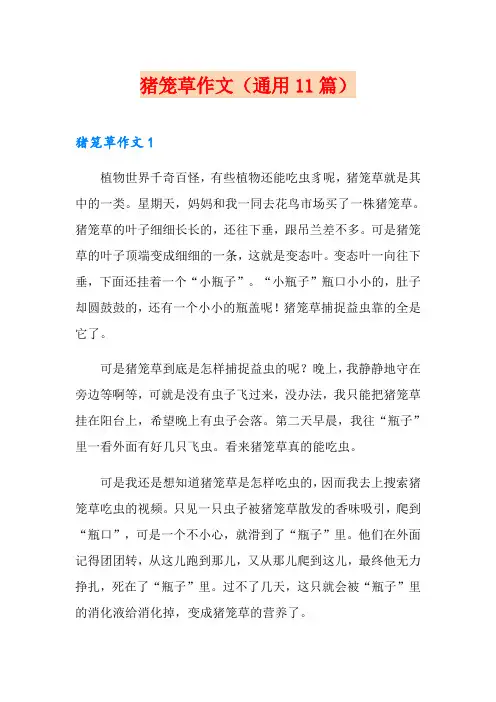 猪笼草作文(通用11篇)
