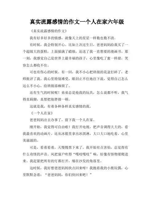 真实流露感情的作文一个人在家六年级