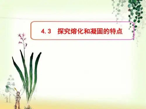 4.3  探究熔化和凝固的特点