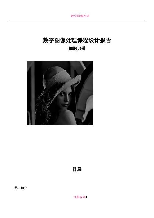 数字图像处理课设报告