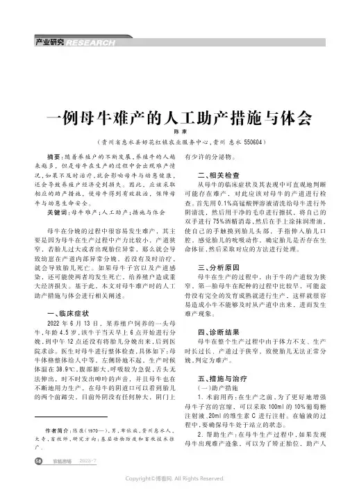 一例母牛难产的人工助产措施与体会