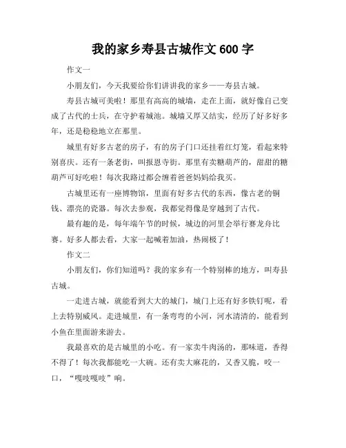 我的家乡寿县古城作文600字