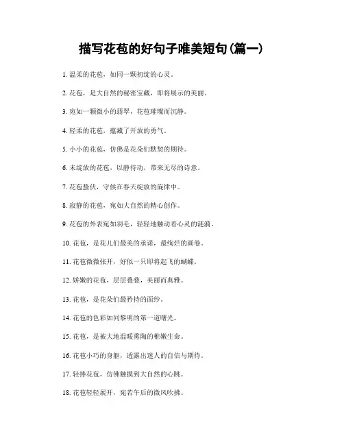 描写花苞的好句子唯美短句(精选2篇)