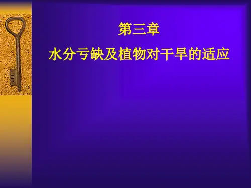 2013植物干旱概念及干旱对植物生长影响