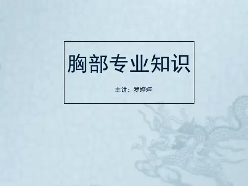 胸部专业知识培训