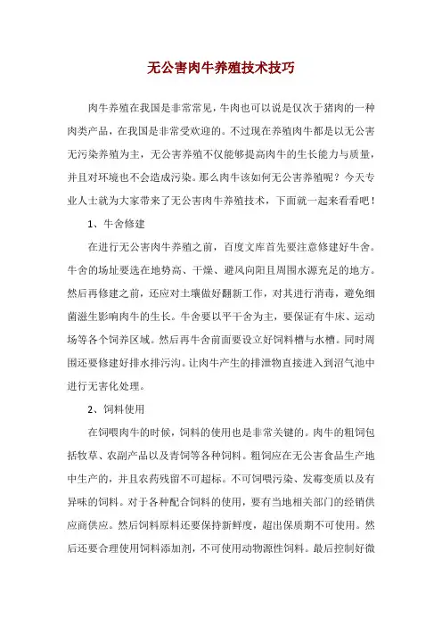 无公害肉牛养殖技术技巧