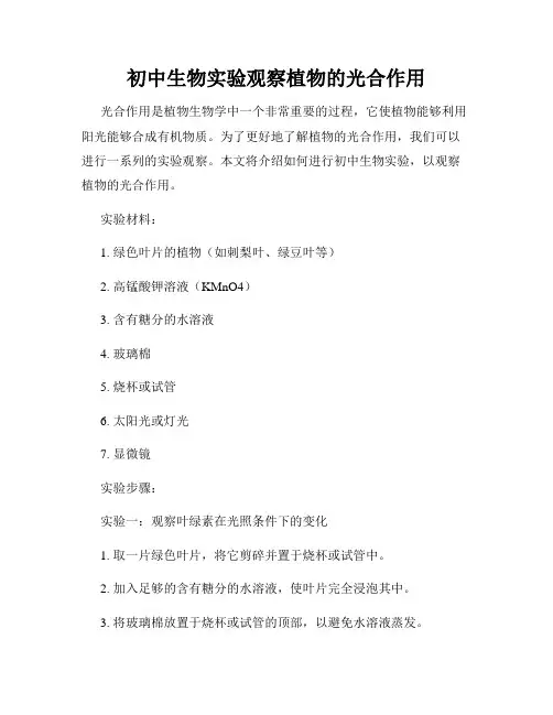 初中生物实验观察植物的光合作用