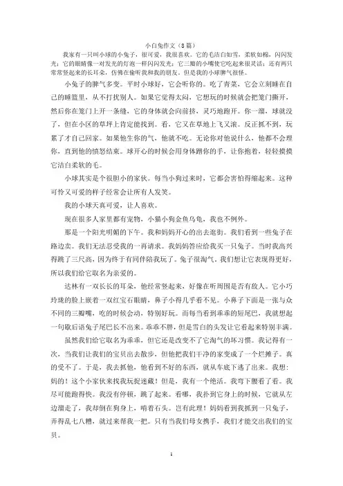 小白兔作文(8篇)