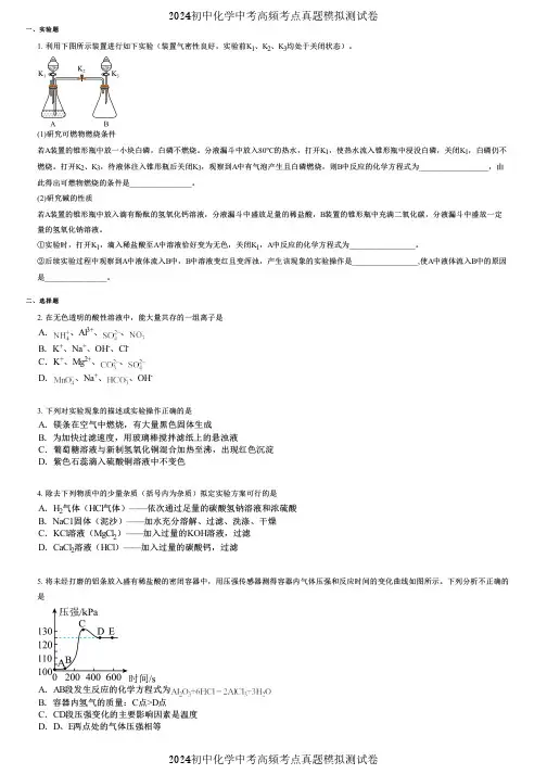 2024初中化学中考高频考点真题模拟测试卷 (2551)