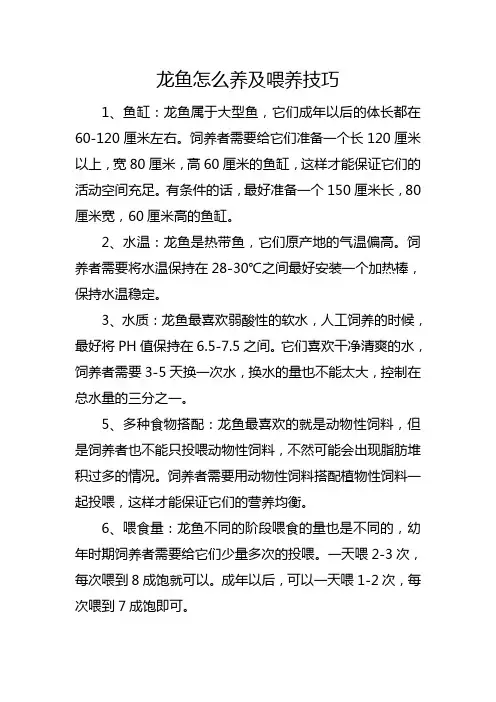 龙鱼怎么养及喂养技巧