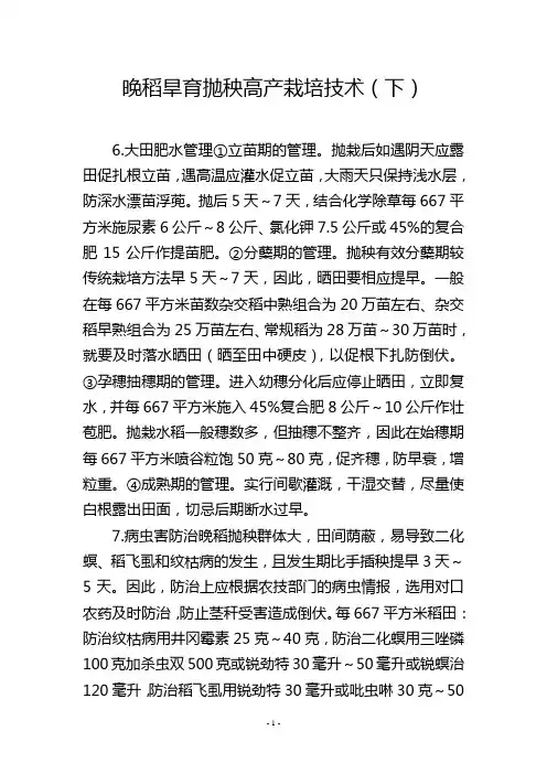 晚稻旱育抛秧高产栽培技术(下)