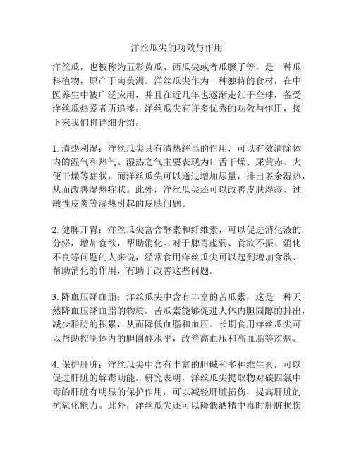 洋丝瓜尖的功效与作用