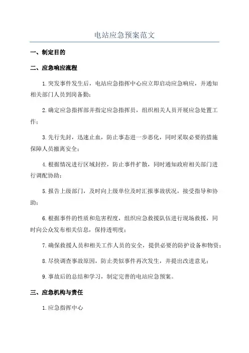 电站应急预案范文
