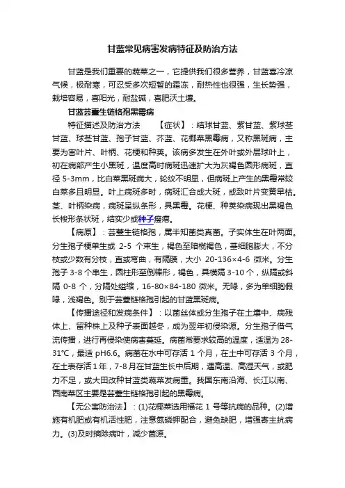 甘蓝常见病害发病特征及防治方法