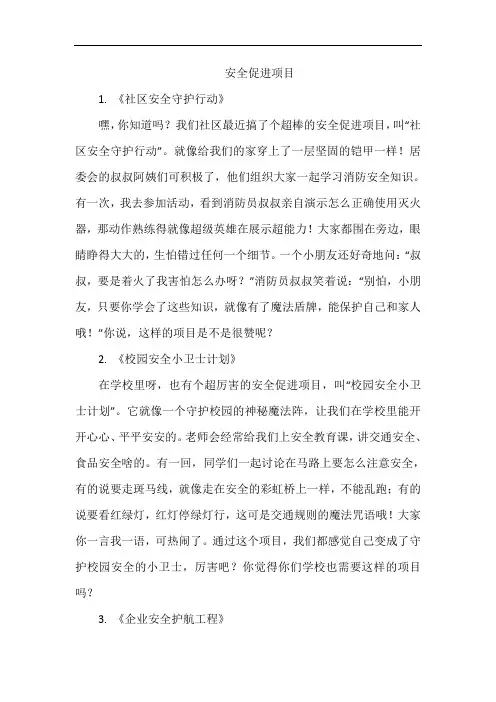 安全促进项目