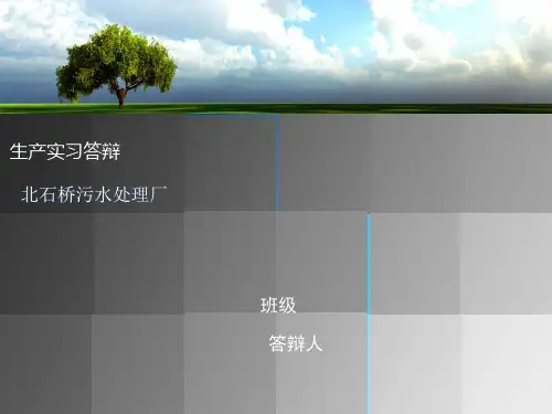 西安市北石桥污水处理厂生产实习答辩
