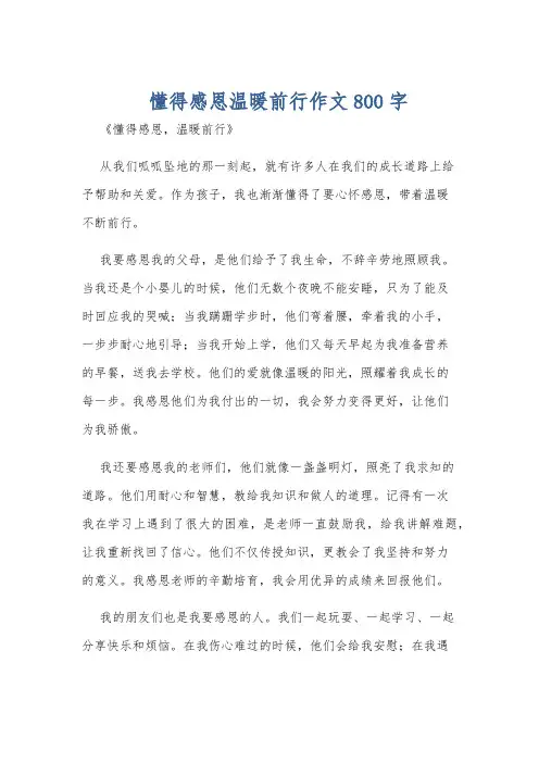 懂得感恩温暖前行作文800字