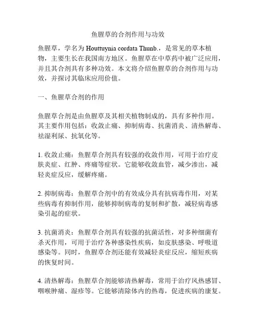 鱼腥草的合剂作用与功效