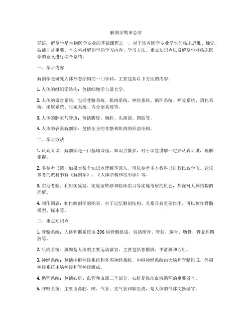 解剖学期末总结