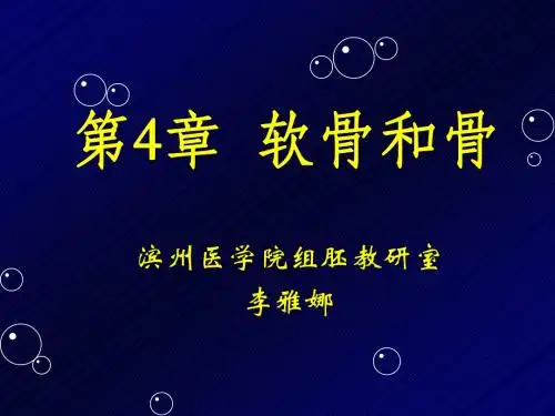 软骨和骨(2007)