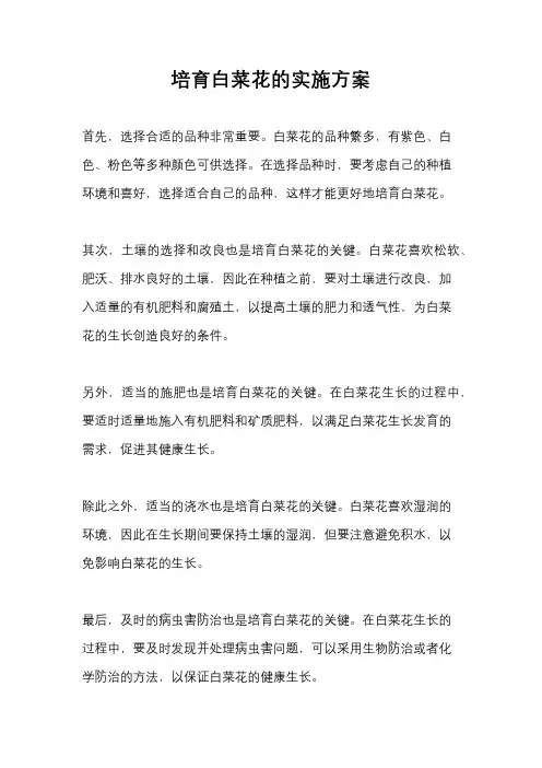 培育白菜花的实施方案