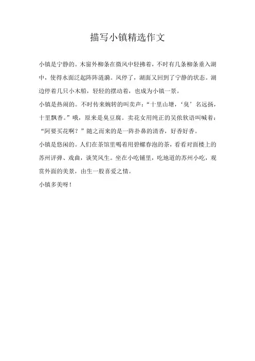 四年级话题描写小镇精选作文