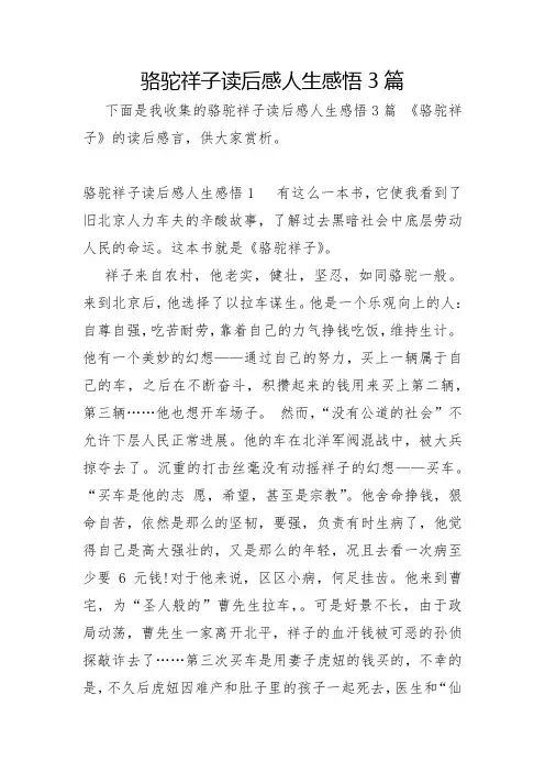 骆驼祥子读后感人生感悟3篇