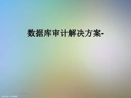 数据库审计解决方案-