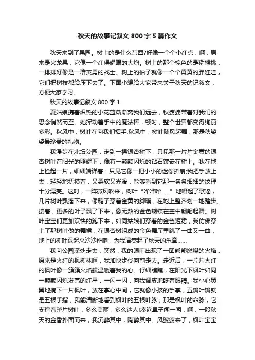 秋天的故事记叙文800字5篇作文