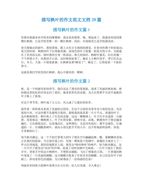 描写枫叶的作文范文文档28篇