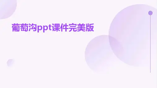 葡萄沟ppt课件完美版