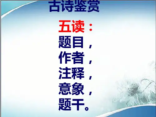 诗歌鉴赏专题