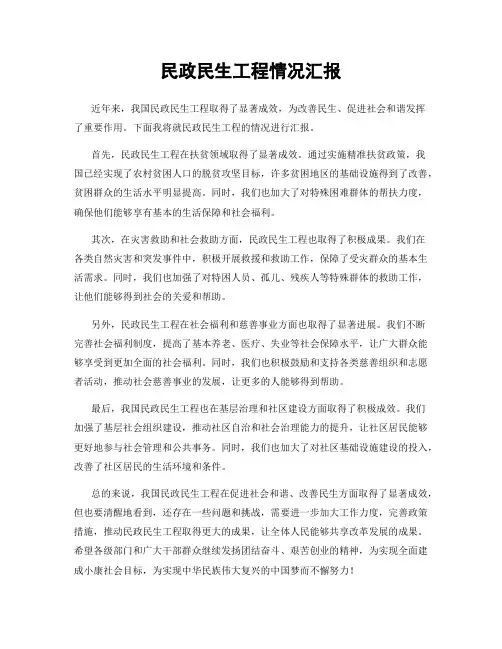 民政民生工程情况汇报