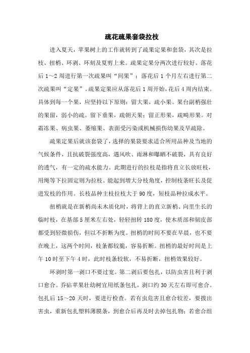 疏花疏果套袋拉枝