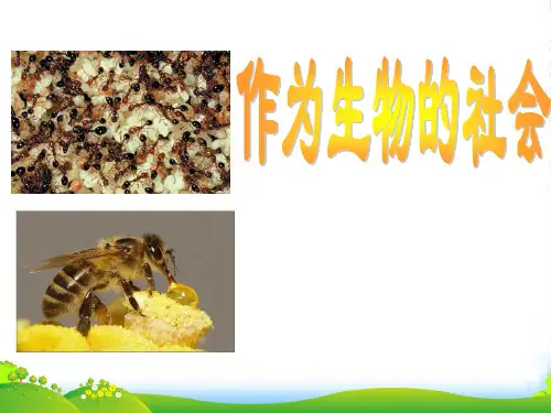 高中语文 《作为生物的社会》课件 新人教必修5