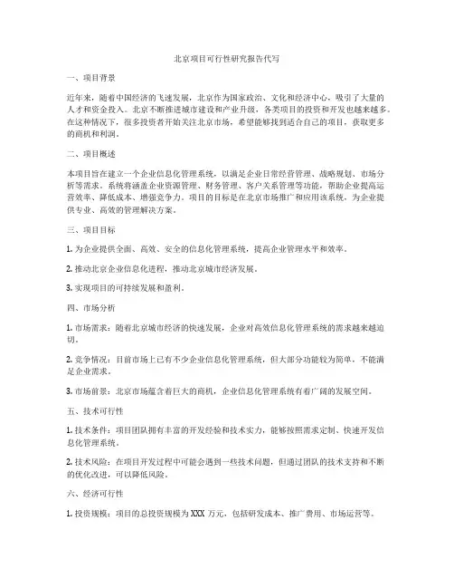 北京项目可行性研究报告代写