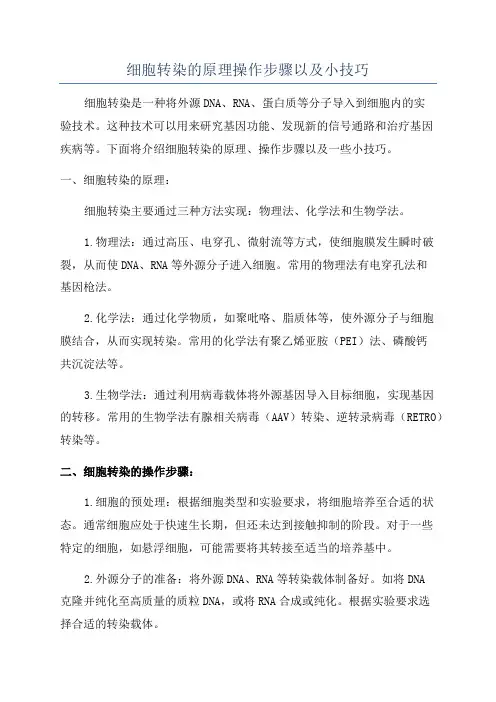 细胞转染的原理操作步骤以及小技巧