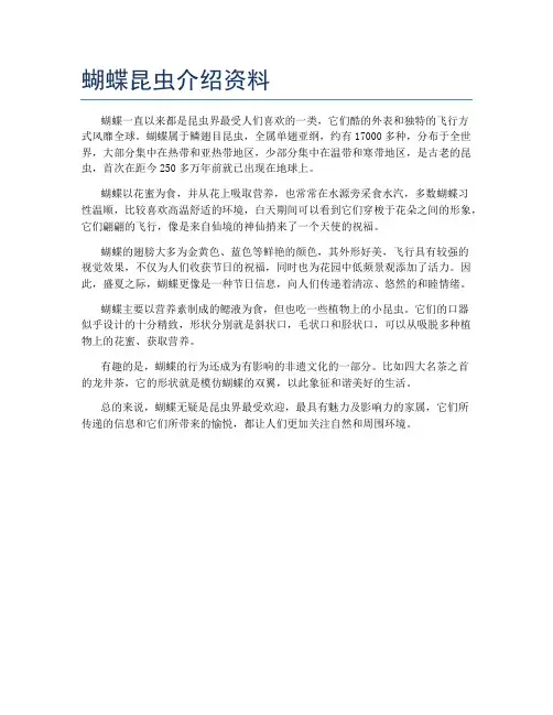 蝴蝶昆虫介绍资料