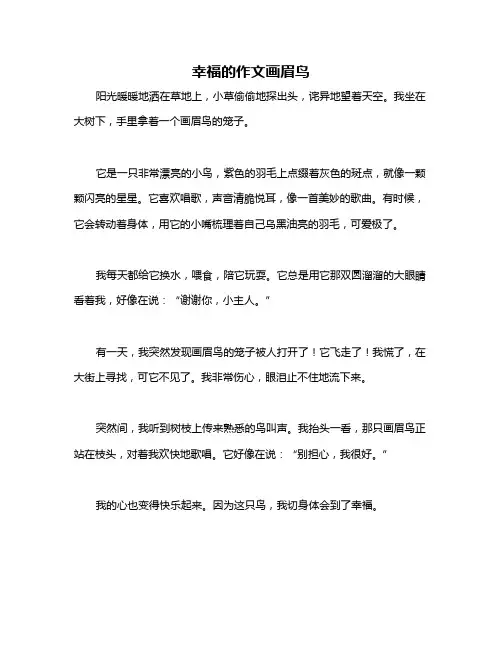 幸福的作文画眉鸟
