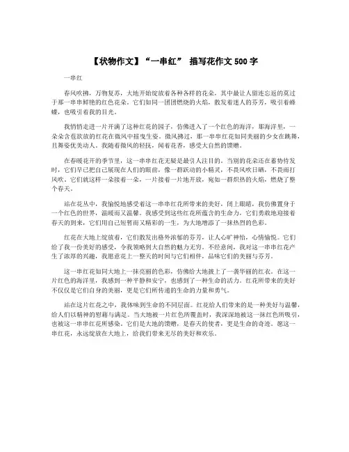 【状物作文】“一串红” 描写花作文500字