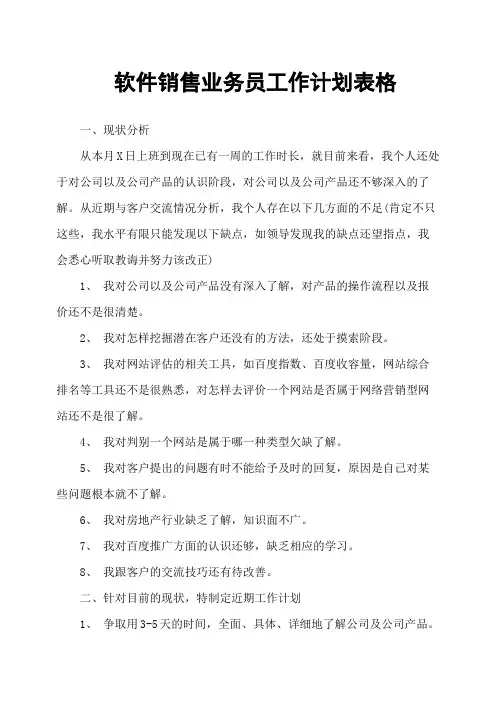 软件销售业务员工作计划表格