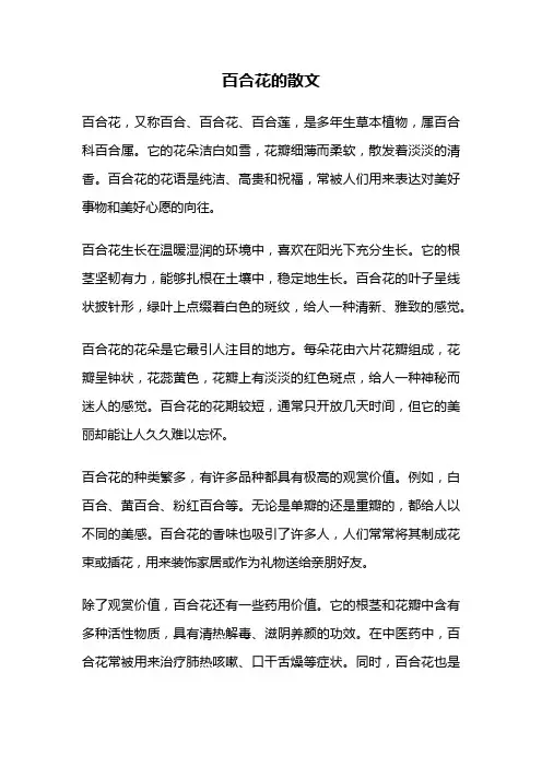 百合花的散文
