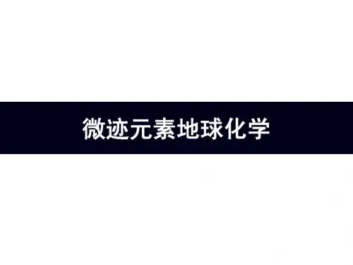 2011微迹元素地球化学