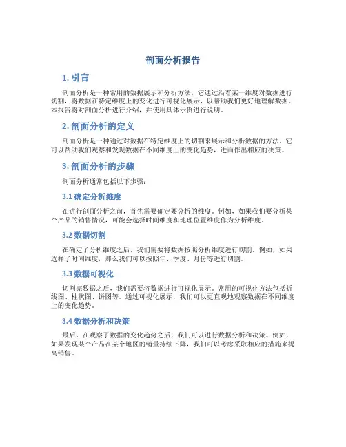 剖面分析报告